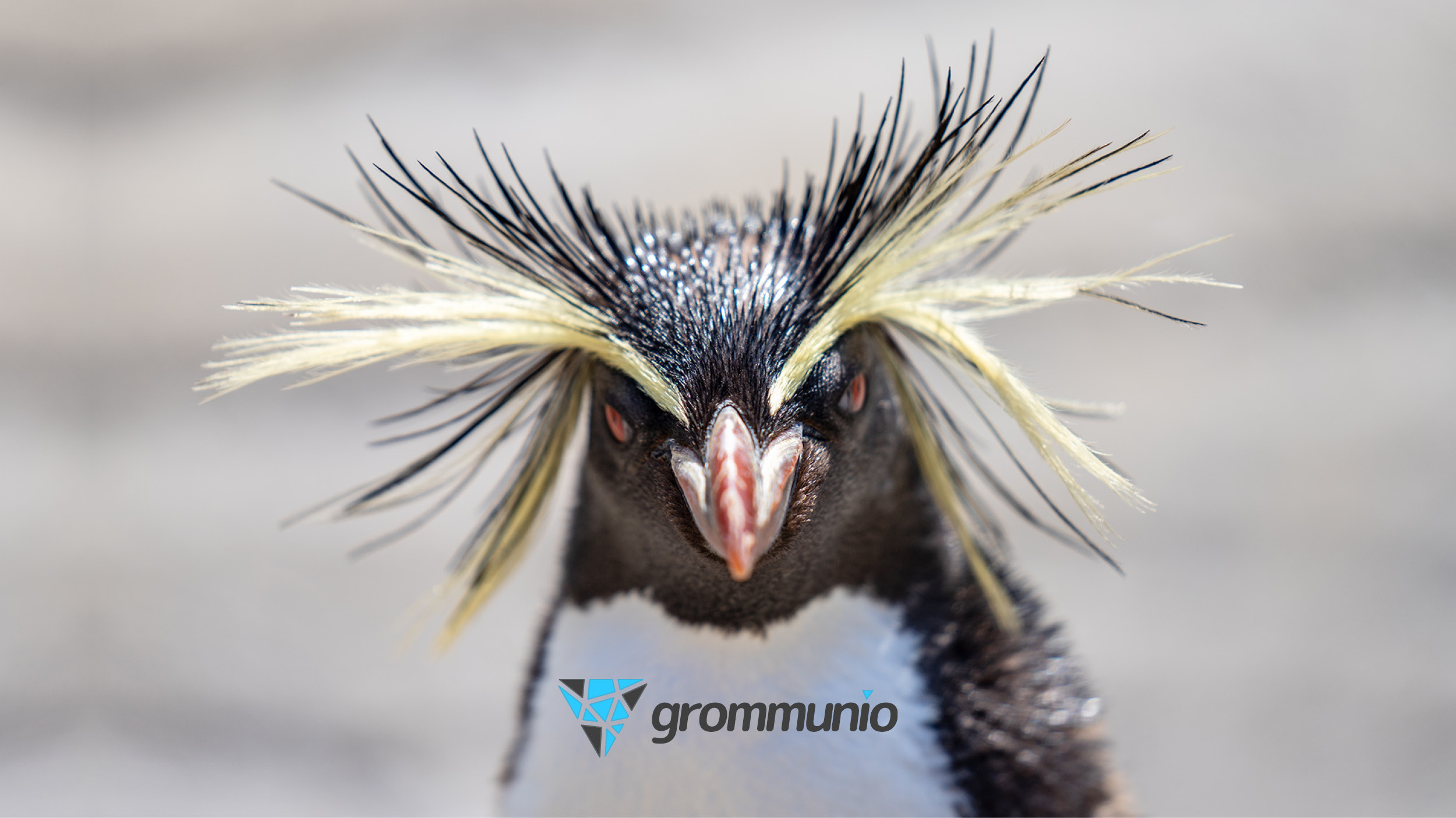 Upgrade to Linux: grommunio is one of the early supporters