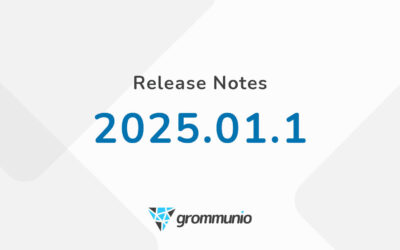 Release Notes 2025.01.1