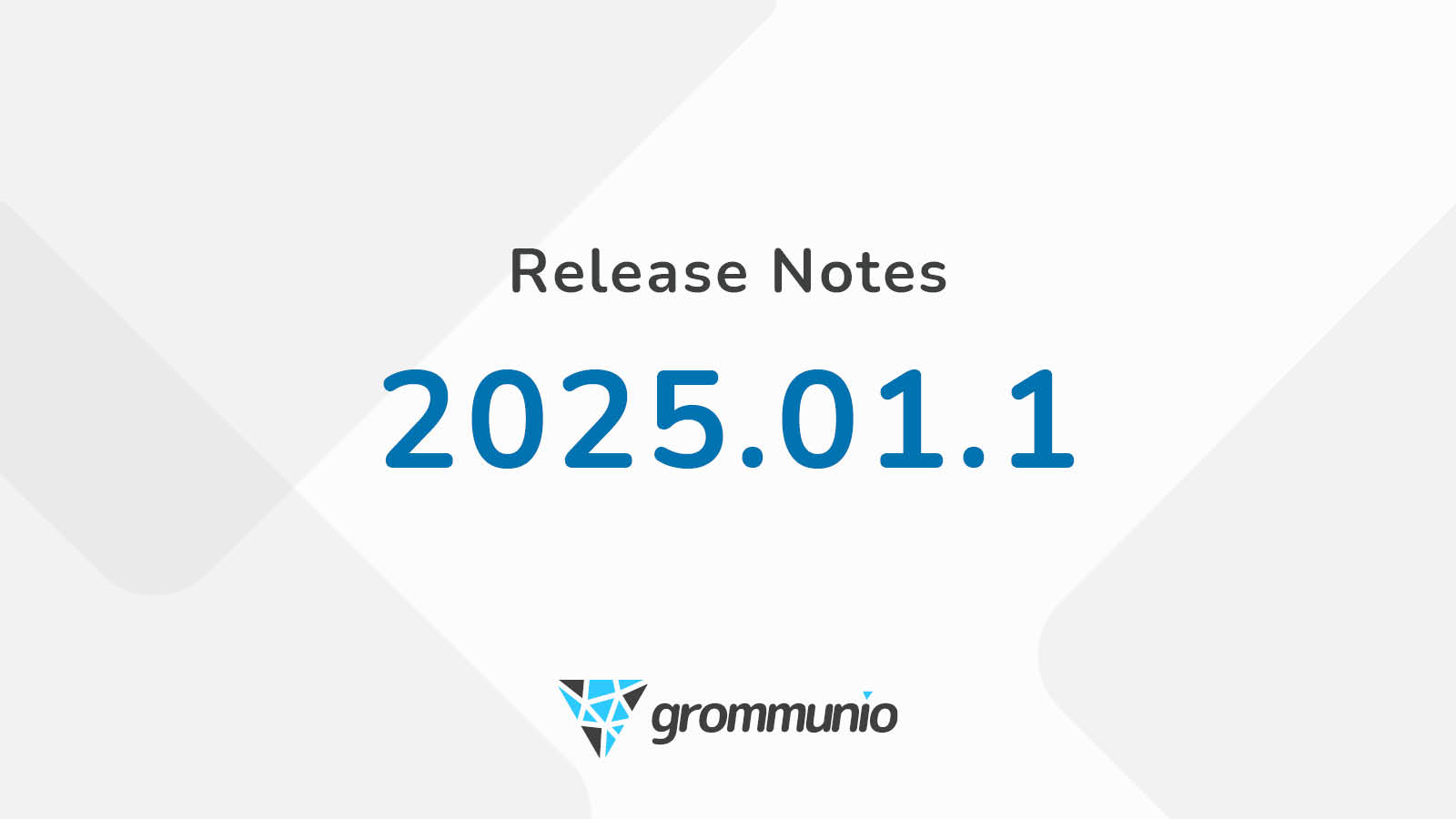 Release Notes 2025.01.1